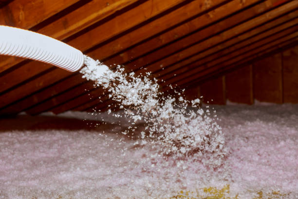 Best Specialty Insulation in Lisbon, IA