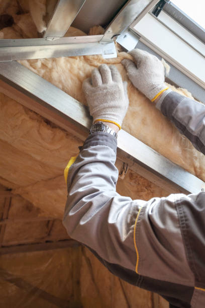 Best Insulation Installation Services in Lisbon, IA
